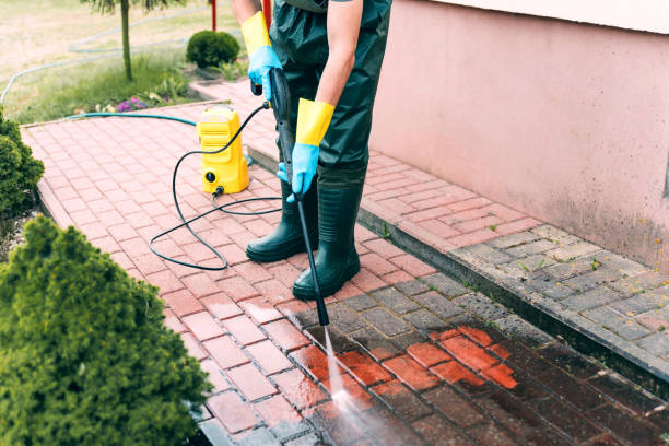 Best Commercial Building Pressure Washing  in Norris City, IL