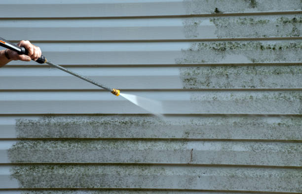 Best Sidewalk Pressure Washing  in Norris City, IL