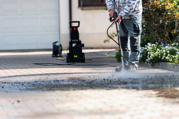 Best Exterior Home Cleaning  in Norris City, IL