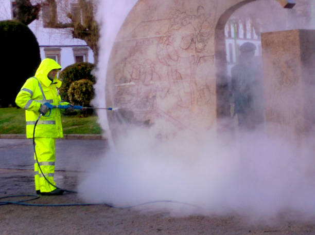 Best Residential Pressure Washing Services  in Norris City, IL