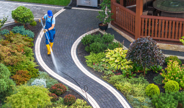 Best Residential Pressure Washing Services  in Norris City, IL