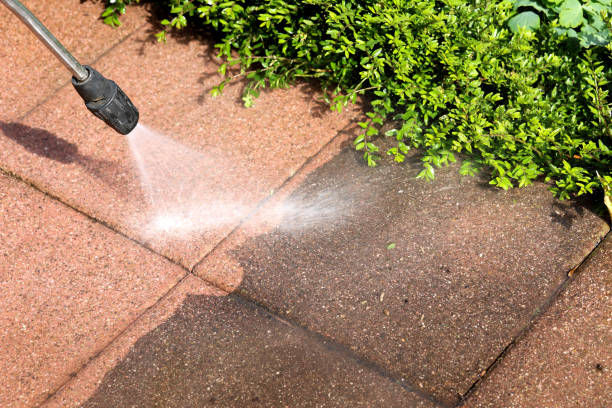 Best Pressure Washing Siding  in Norris City, IL